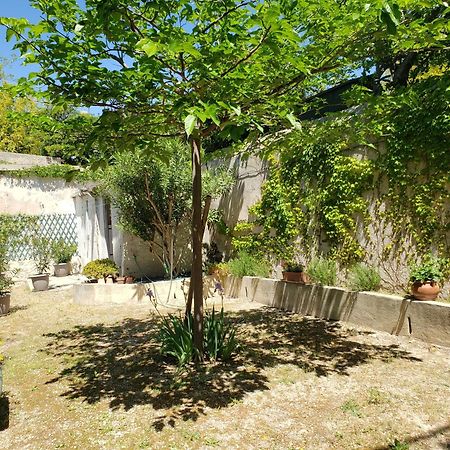 Appartement Au Coeur De Cassis Avec Jardin Extérieur photo